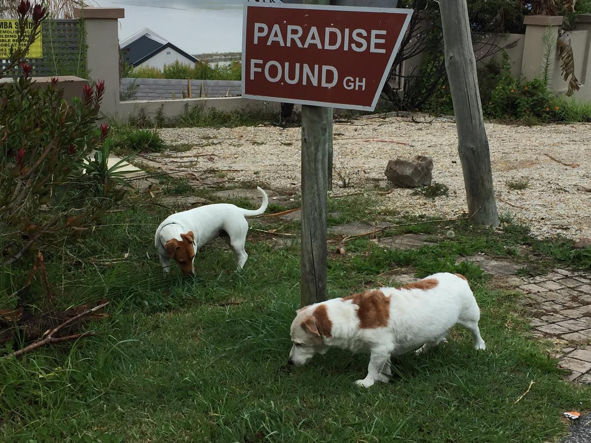 Paradise Found Knysna Eksteriør billede